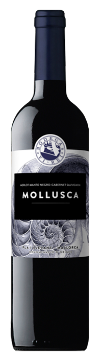 MOLLUSCA TINTO 2017