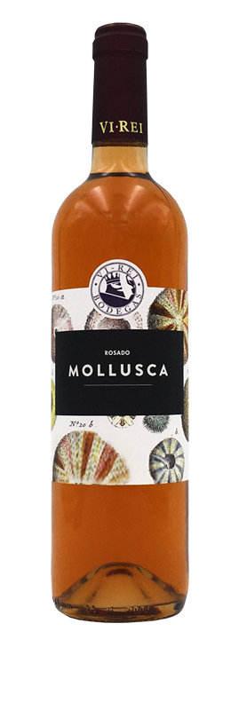 MOLLUSCA ROSADO 2019