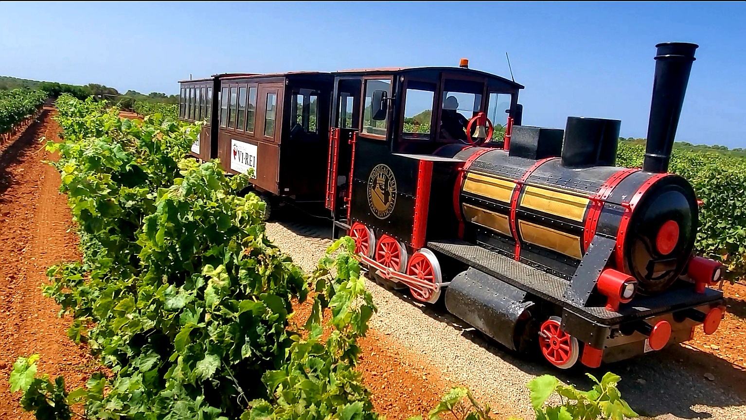 Vineyard Guided Train Tour And Wine Tasting • Bodegas Vi Rei