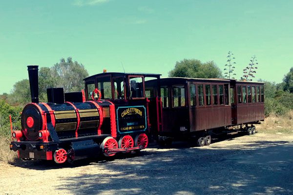 TRAIN-600×400.jpg TRAIN-600x400.jpg