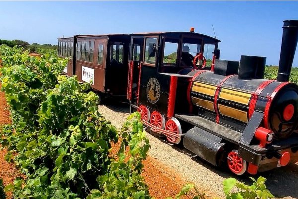 Vineyard guided train tour and wine tasting